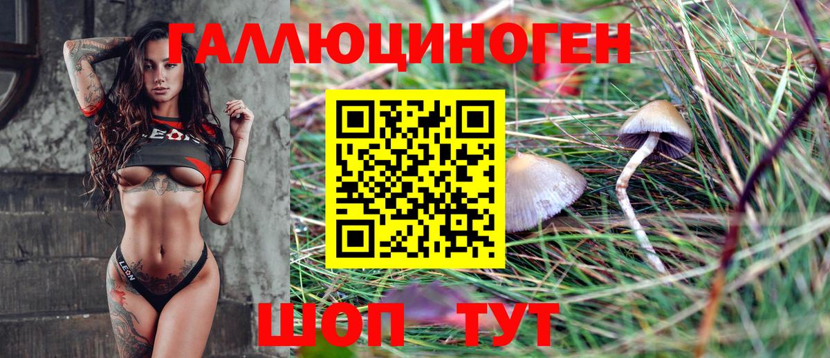 что такое   Галлюциногенные грибы прущие грибы  Псилоцибиновые грибы GOLDEN TEACHER  Вход с VPN  Удомля 