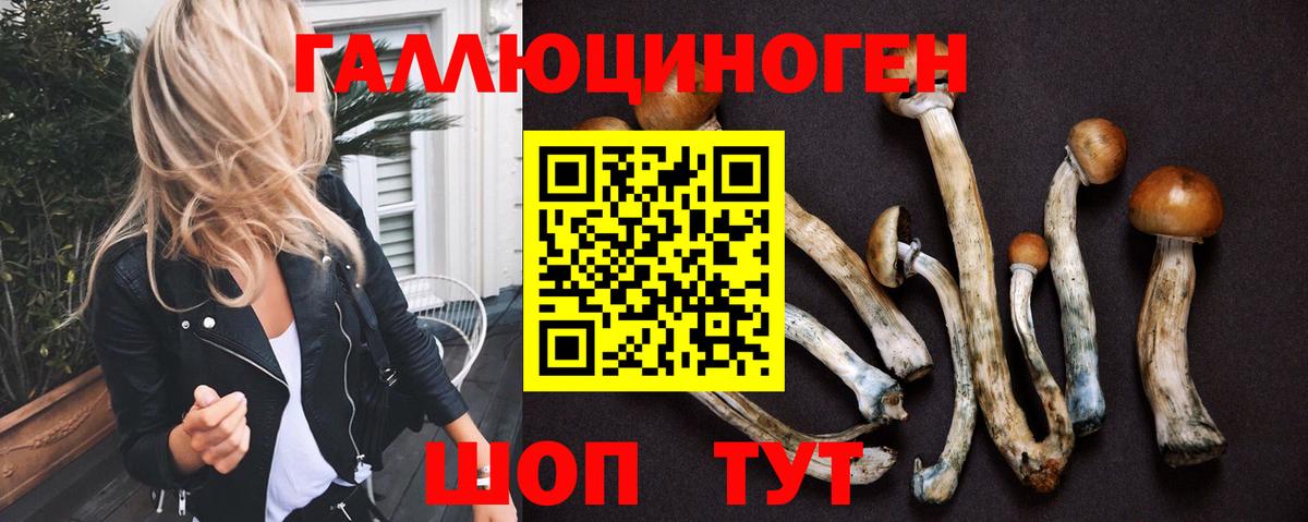 Галлюциногенные грибы ЛСД Удомля